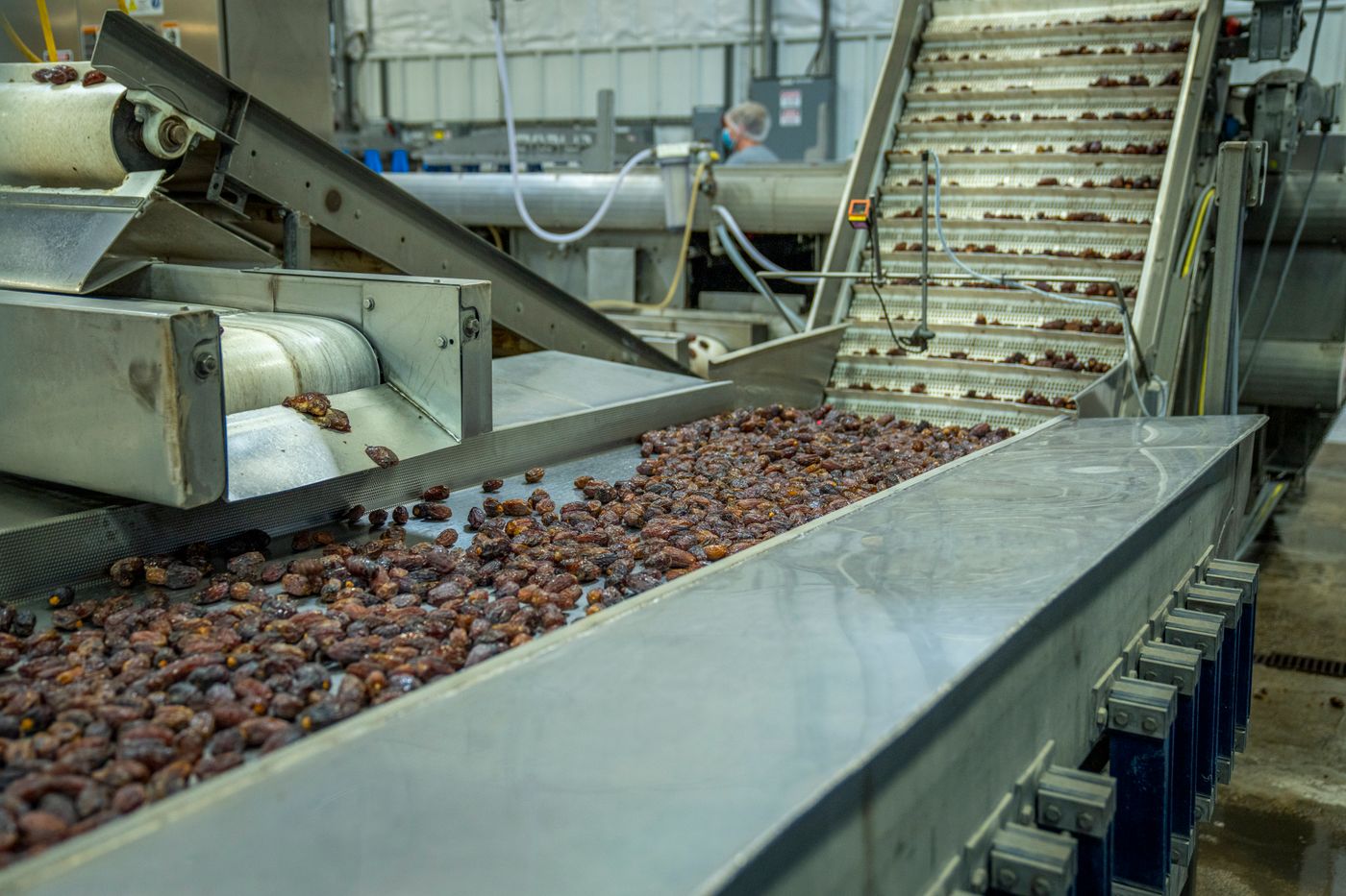 Food products moving through an industrial processing line